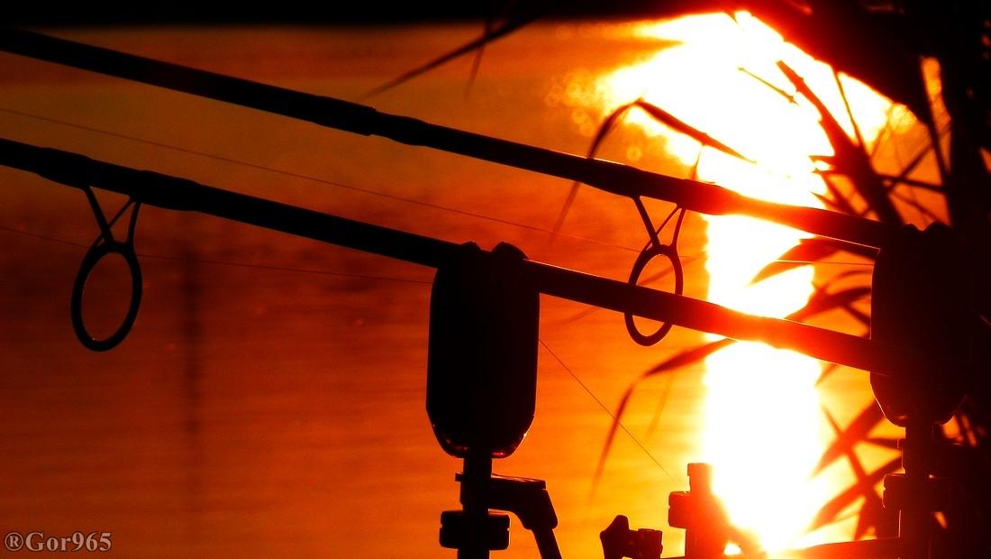 Sunset - 1004813.jpg